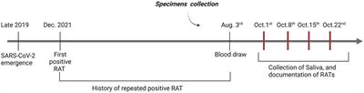 Continuous false positive results by SARS-CoV-2 rapid antigen testing: a case report